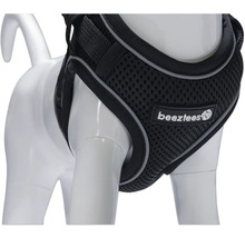 Schwarzes Hundegeschirr mit Reflektoren