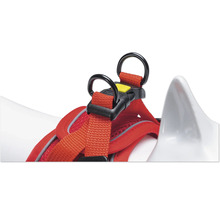 Hundegeschirr mit Ringen und Verschluss