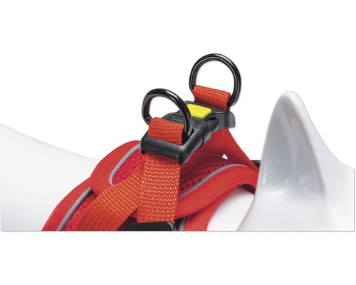 Hundegeschirr mit Ringen und Verschluss