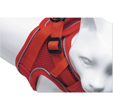 Roter Katzengeschirr auf einer Katzenpuppe.