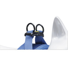 Detailansicht eines blauen Hundegeschirrs mit Ringen