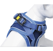 Blaues Hundegeschirr mit verstellbaren Gurten