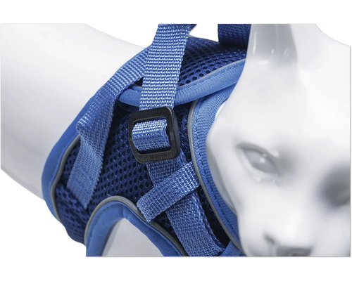 Blaue Katzengeschirr auf einer Katzenbüste