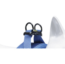 Detailansicht eines Hundegeschirrs mit Ringen zur Befestigung einer Leine