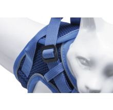 Blaue Katzengeschirr mit verstellbarem Riemen