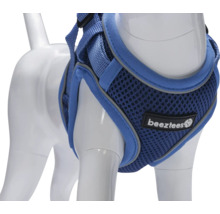 Blaues Hundegeschirr von Beeztees