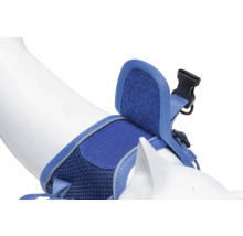 Blaues Hundegeschirr mit Schnalle