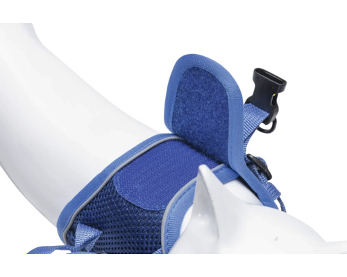 Blaues Hundegeschirr mit Schnalle