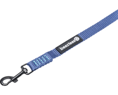 Blaue Hundeleine mit Karabinerhaken