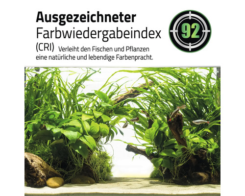 Aquarium mit Fischen und Wasserpflanzen, Farbwiedergabeindex von 92.