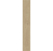 Holzstruktur für Bau- und Renovierungsprojekte