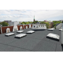 Dachansicht mit Bitumenschindeln und Dachfenstern.