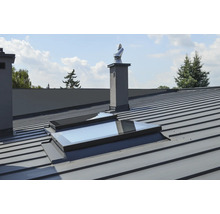 Dachansicht mit Metalldach, Dachfenstern und Schornsteinen