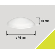 Halbkugelförmiger Möbelknopf mit einem Durchmesser von 40 Millimetern und einer Höhe von 10 Millimetern.