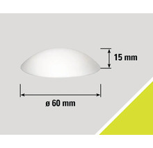 Abbildung mit Maßangaben: Durchmesser 60 mm, Höhe 15 mm