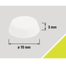 Weißer Möbelgleiter mit den Maßen 10 mm Durchmesser und 3 mm Höhe