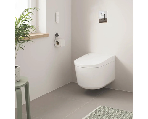 Modernes Badezimmer mit wandhängendem WC, Toilettenpapierhalter und Zimmerpflanze