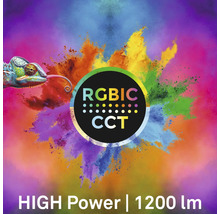 RGBIC CCT Kennzeichnung mit Chamäleon und 1200 Lumen Leistung.