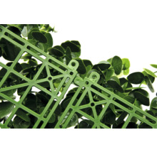 Detailaufnahme einer grünen Pflanzenmatte mit Kunststoffgitter