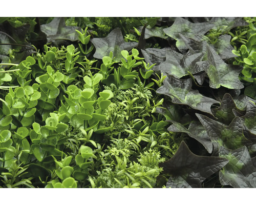 Künstliche Pflanzenwand mit verschiedenen grünen Pflanzen