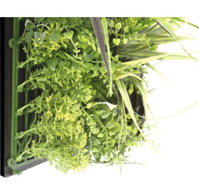 Künstliche Pflanzenwand mit verschiedenen Grünsorten