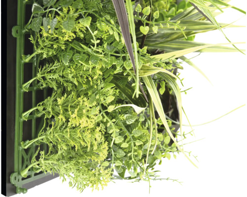 Künstliche Pflanzenwand mit verschiedenen Grünsorten