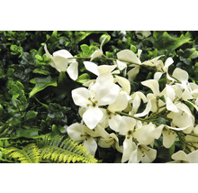 Künstliche Pflanzenwand mit weißen Blüten und verschiedenen Grüntönen