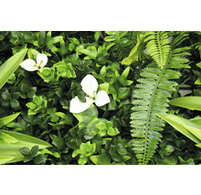 Künstliche grüne Pflanzenwand mit weißen Blüten und Farnen