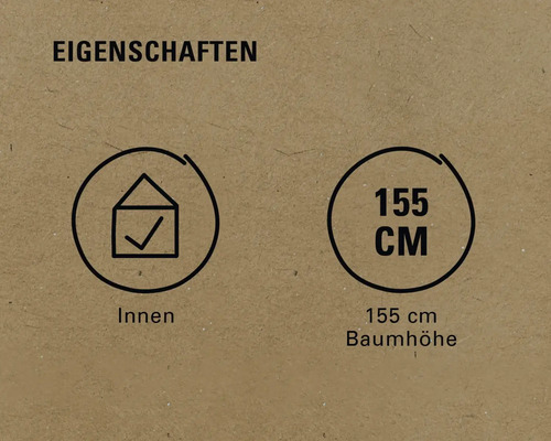 Eigenschaften: Für Innenräume geeignet, Baumhöhe 155 cm
