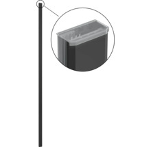 Zaunpfosten mit aufgesetztem Behälter