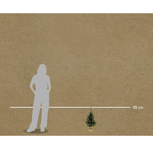 Abbildung eines kleinen Weihnachtsbaums mit einer Höhenangabe von 45 Zentimetern