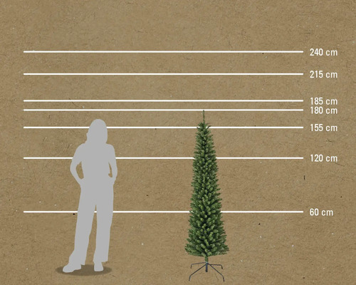 Größenvergleich einer schlanken Weihnachtstanne mit einer Person und Maßlinien in Zentimetern