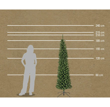 Größenvergleich einer künstlichen Tanne mit Höhenmarkierungen und einer Person.