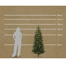Größenvergleich einer künstlichen Tanne mit einer Person anhand einer Skala in Zentimetern.