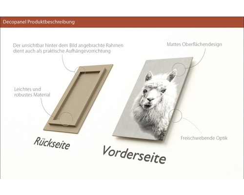 Decopanel Produktbeschreibung: Rückseite des Rahmens mit Aufhängevorrichtung und Vorderseite mit Alpakabild