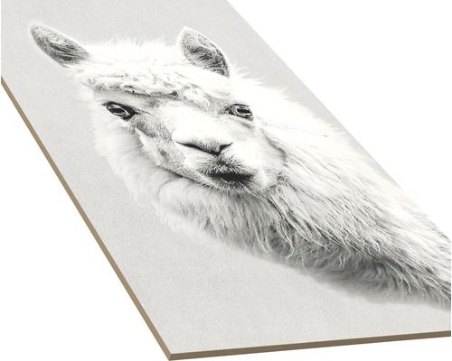 Dekoratives Wandbild mit Lama-Motiv
