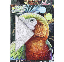 Malen nach Zahlen Set mit Papagei Motiv, inklusive drei Pinsel und zwölf Acrylfarben.