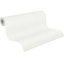 Rolle Raufasertapete