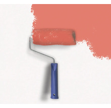 Farbroller trägt Farbe auf Wand auf