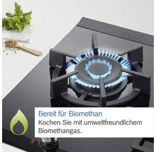 Gaskochfeld mit brennender Flamme und Biomethan Hinweis
