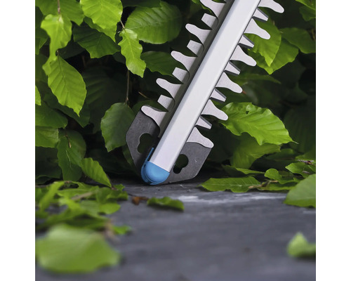 Heckenschere beim Schneiden einer Hecke