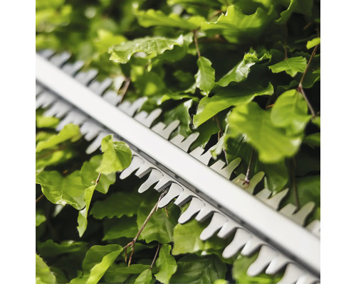 Nahaufnahme einer Heckenschere beim Schneiden einer Hecke.