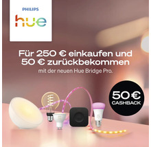 Philips Hue Leuchtmittel und Zubehör mit Cashback Aktion