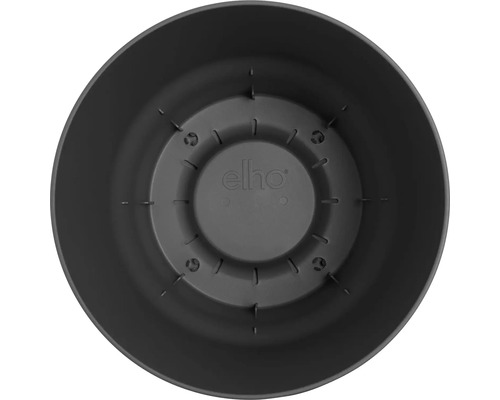 Ansicht von innen eines Blumentopfes