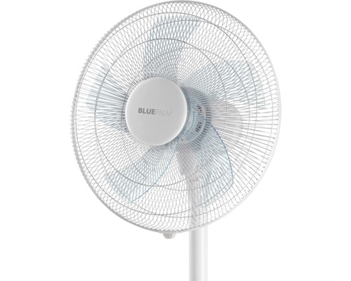 Standventilator mit BluePalm Logo
