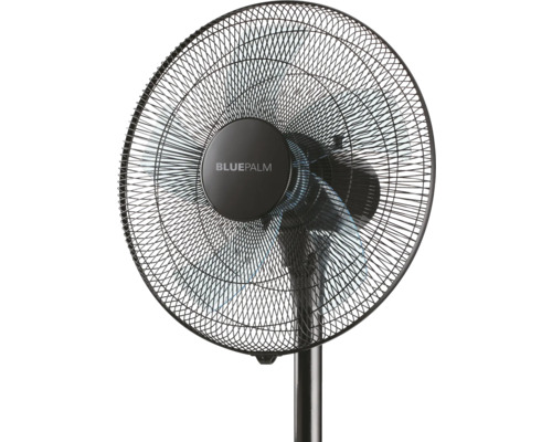 Blue Palm Standventilator