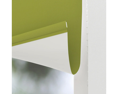 Grüne Fenster-Rollos für den Innenbereich