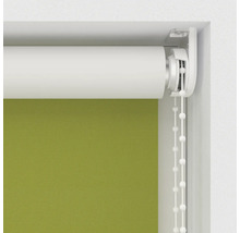 Grüne Rollos im geschlossenen Zustand