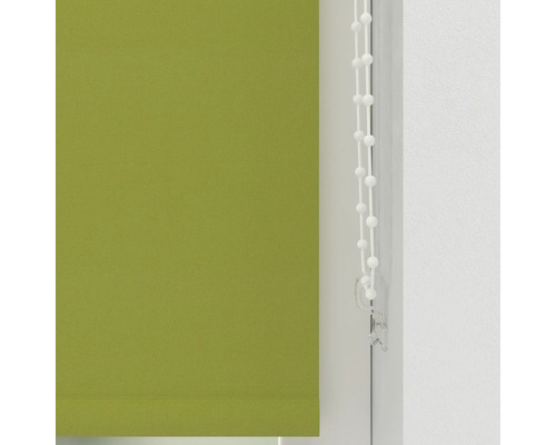 Grüne Stoffrollos mit Bedienkette für Fenster