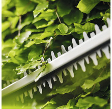 Nahaufnahme einer Heckenschere beim Schneiden einer Hecke